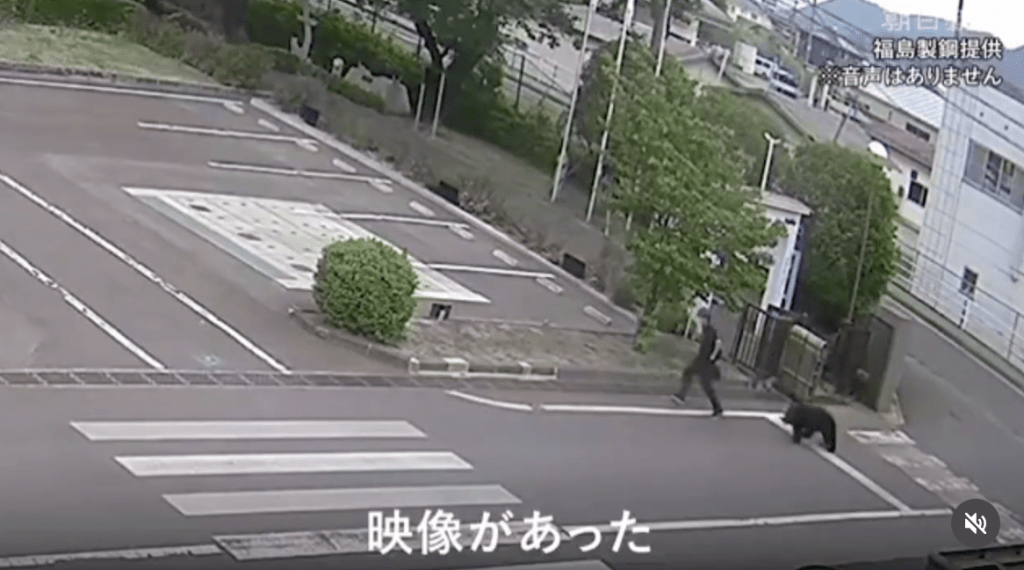 鑄造工廠的閉路電視拍下野熊追擊男員工的震撼過程。Threads@osakapleb（下同）