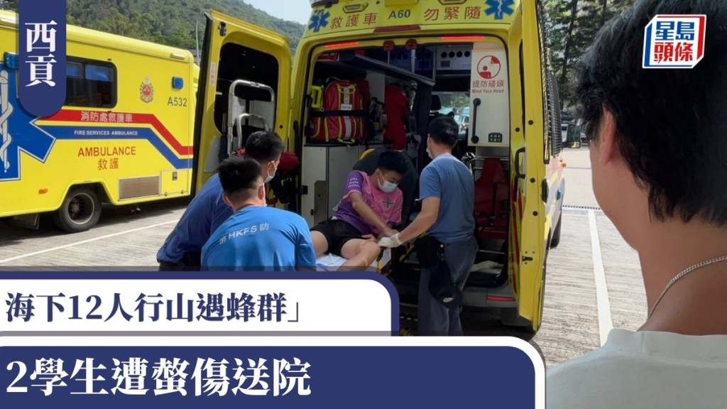 西貢海下12人行山遇蜂群 2學生遭螫傷送院