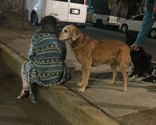 居民仓皇逃出屋外。网图