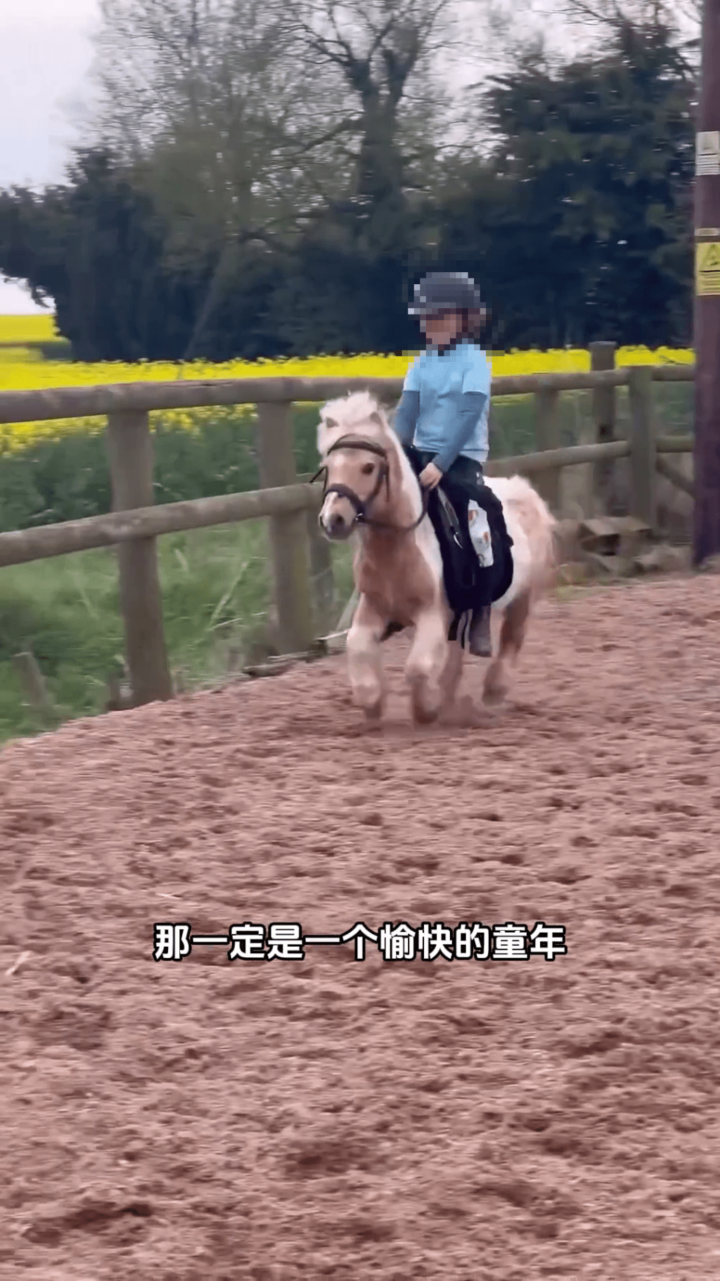 迷你馬在內地社交平台上爆紅。 迷你馬在內地社交平台上爆紅。