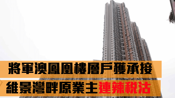 維景灣畔原業主連辣稅沽。