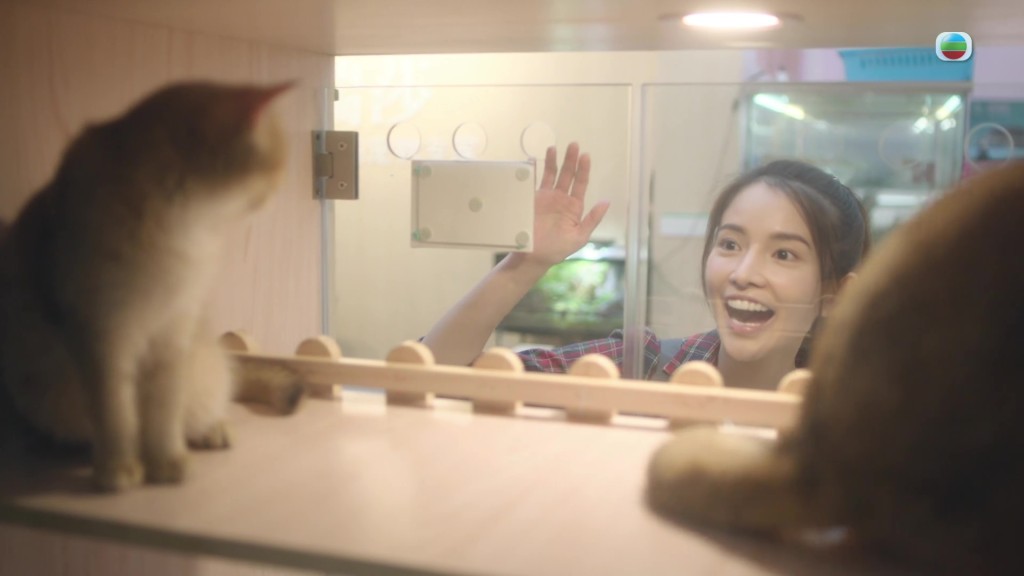 就算對住貓咪好開心，陳若思都做到嗰種令人毛骨悚然嘅狀態。