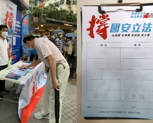 王冬勝簽名撐「國安法」。網上圖片