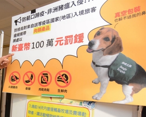 台灣全面阻截非洲豬瘟入境,近日全面修訂罰則及違禁肉品。網圖