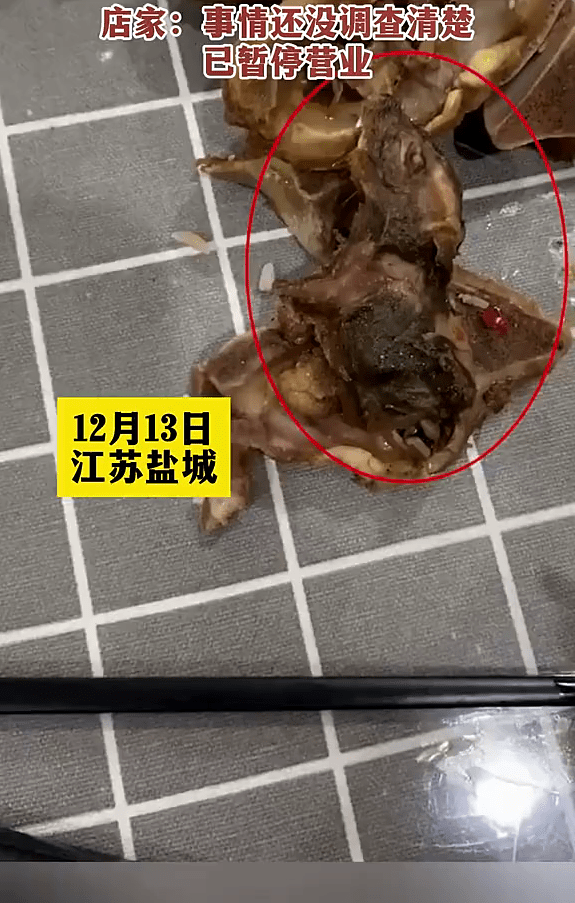 有顾客在江苏射阳县一餐厅点羊肉火锅外卖，疑吃出半截老鼠。