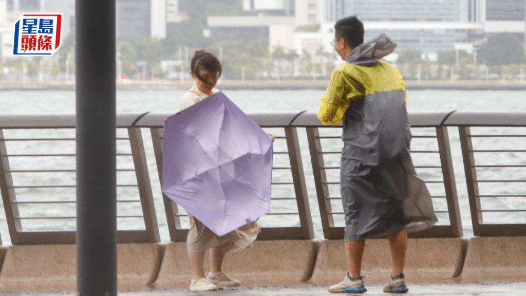 颱風泰利為本港今年風季揭開序幕，並迎來了本年首個八號烈風或暴風信號。資料圖片