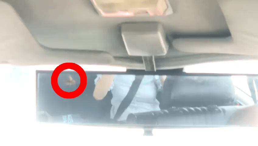 帖文附有影片，看到在司機倒後鏡已看到曱甴在爬行。