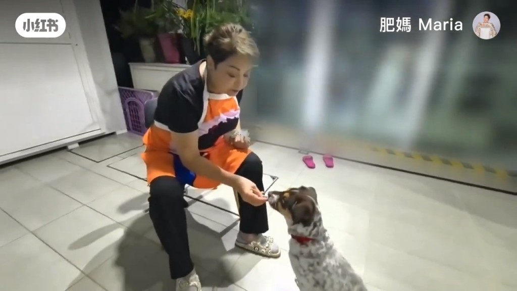 肥媽到「愛護動物協會」,領養了一隻狗仔,改名「Money」。 肥媽到「愛護動物協會」,領養了一隻狗仔,改名「Money」。