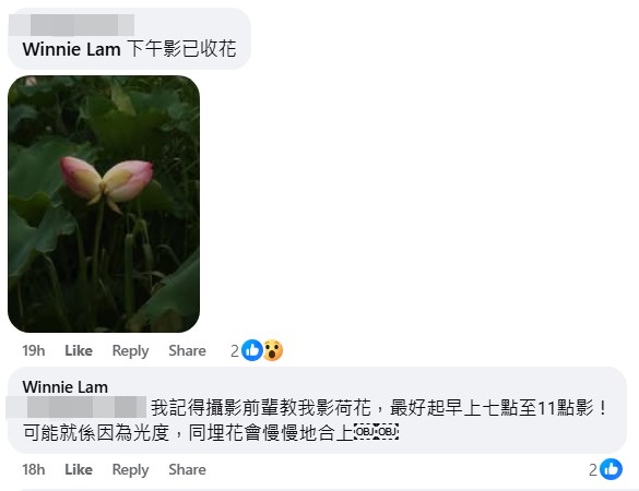 樓主傳授攝影心法。fb「花花草草」截圖 樓主傳授攝影心法。fb「花花草草」截圖
