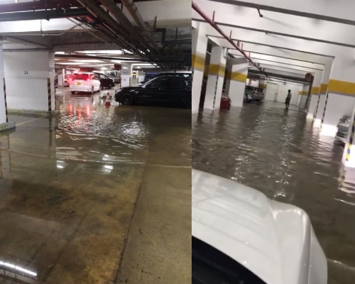 有車主將泊在地庫停車場的車輛駛走。fb群組「Tai Po 大埔」