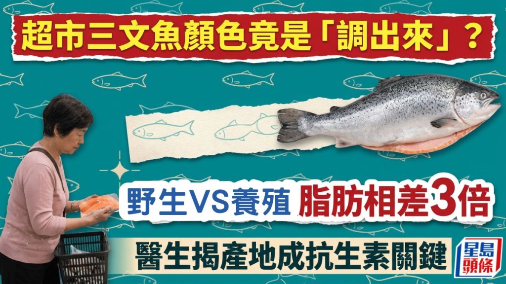 超市三文魚顏色竟是「調出來」？野生VS養殖脂肪相差3倍醫生揭產地成抗生素關鍵