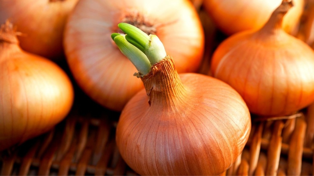 食材發芽也能吃？9大食物發芽後營養更豐富 洋蔥這時間吃抗氧化力最強！