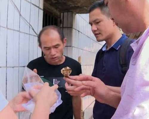 梅州祖孫3人採野生蘑菇煲湯，連同兩家貓中毒身亡。