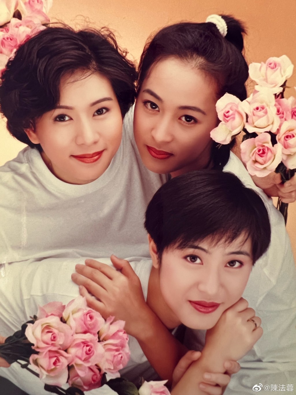 陳法蓉與羅慧娟、黎美嫻是相交多年的好姊妹。