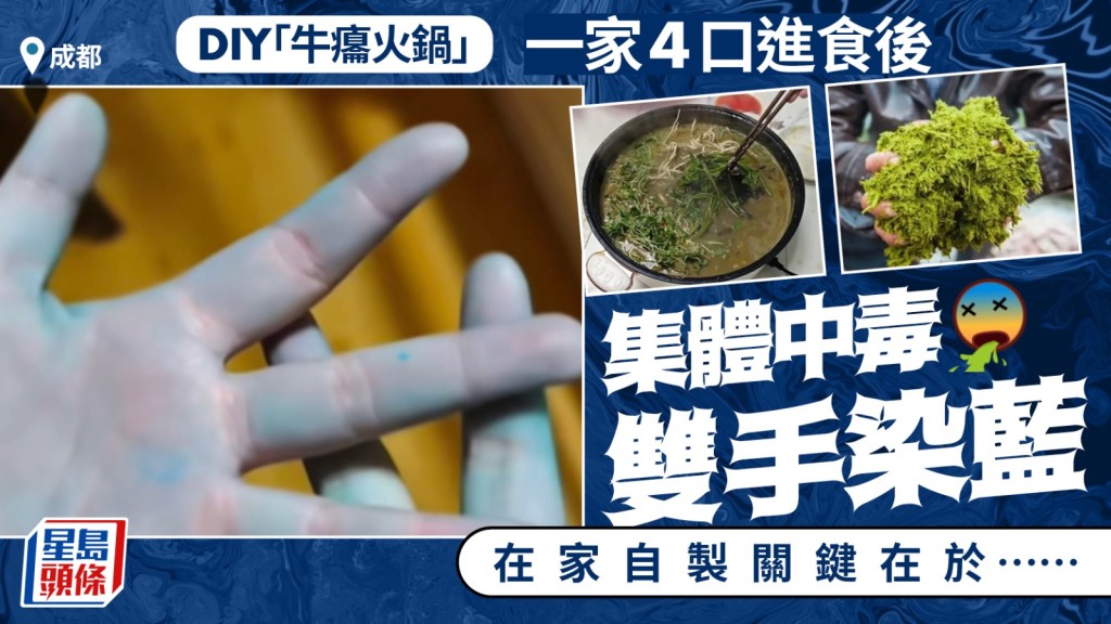 吃自製牛瘪火鍋，成都一家4口雙手變藍中毒送院。