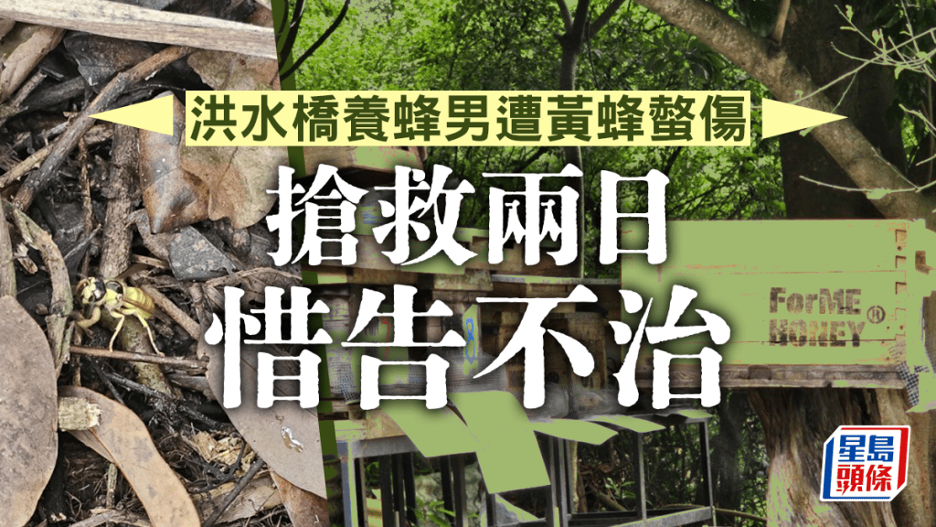 洪水橋養蜂男遭螫傷 搶救兩日惜回天乏術。資料圖片