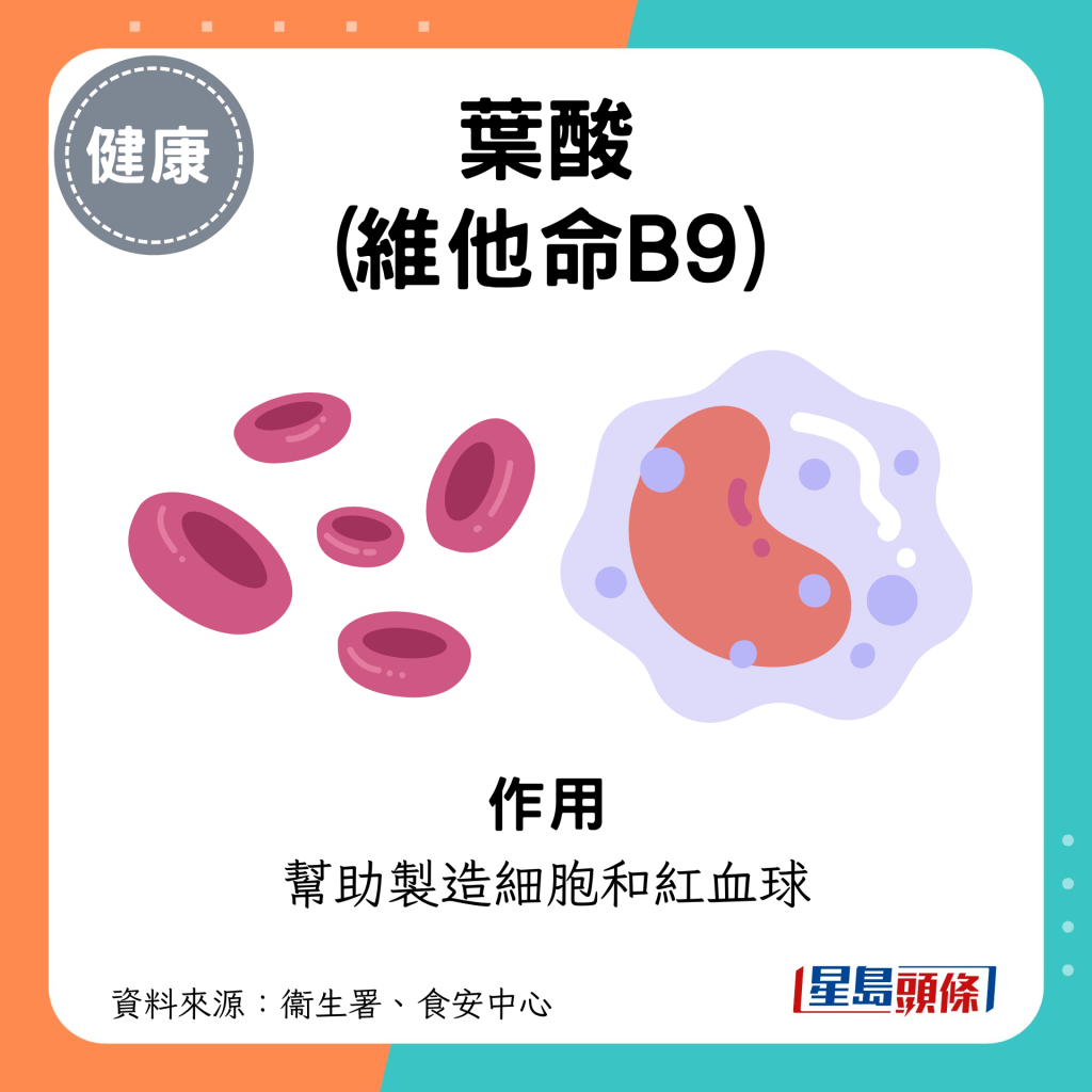 葉酸（維他命B9）作用