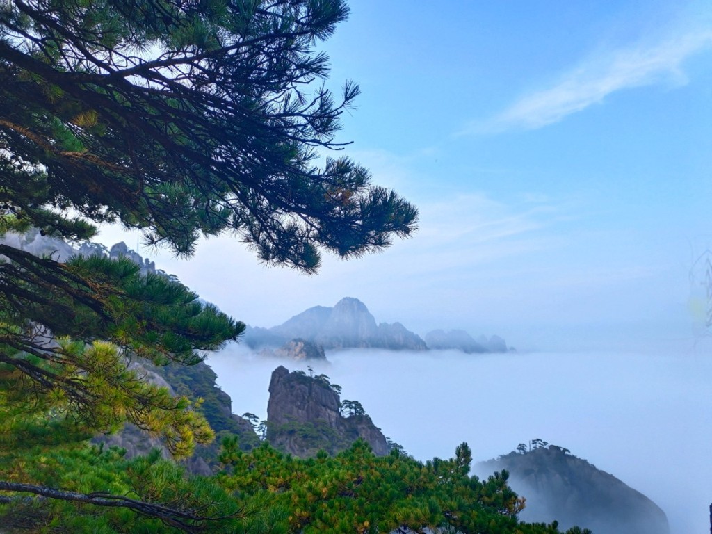 安徽黃山雲海。網上圖片