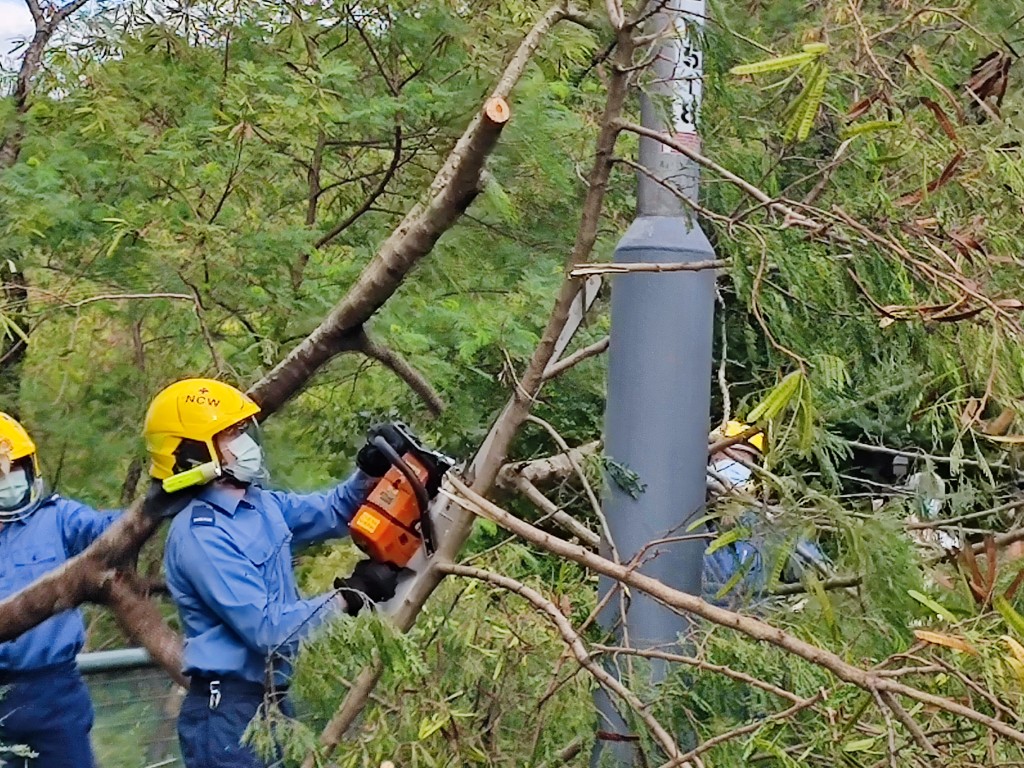 消防员锯断树丫。
