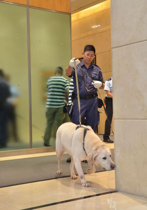 一隻搜索犬亦到場協助蒐證。林思明攝