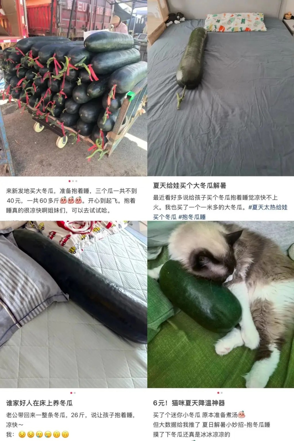 抱大冬瓜睡覺降溫消暑，在內地網絡成為話題。網圖