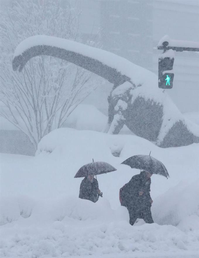日本海沿岸地區帶來暴雪。網上圖片