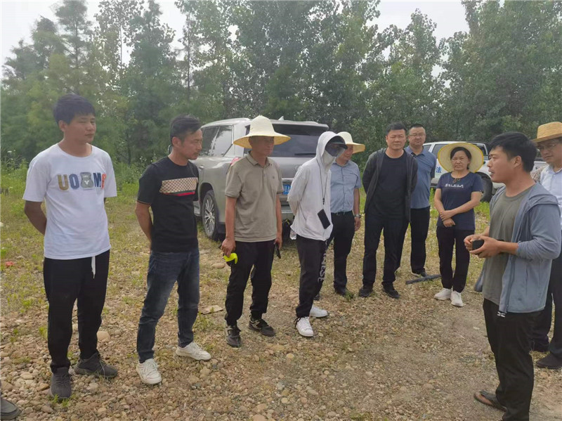捕捉工作前，专家向各人员提供指示。武汉市农业农村局