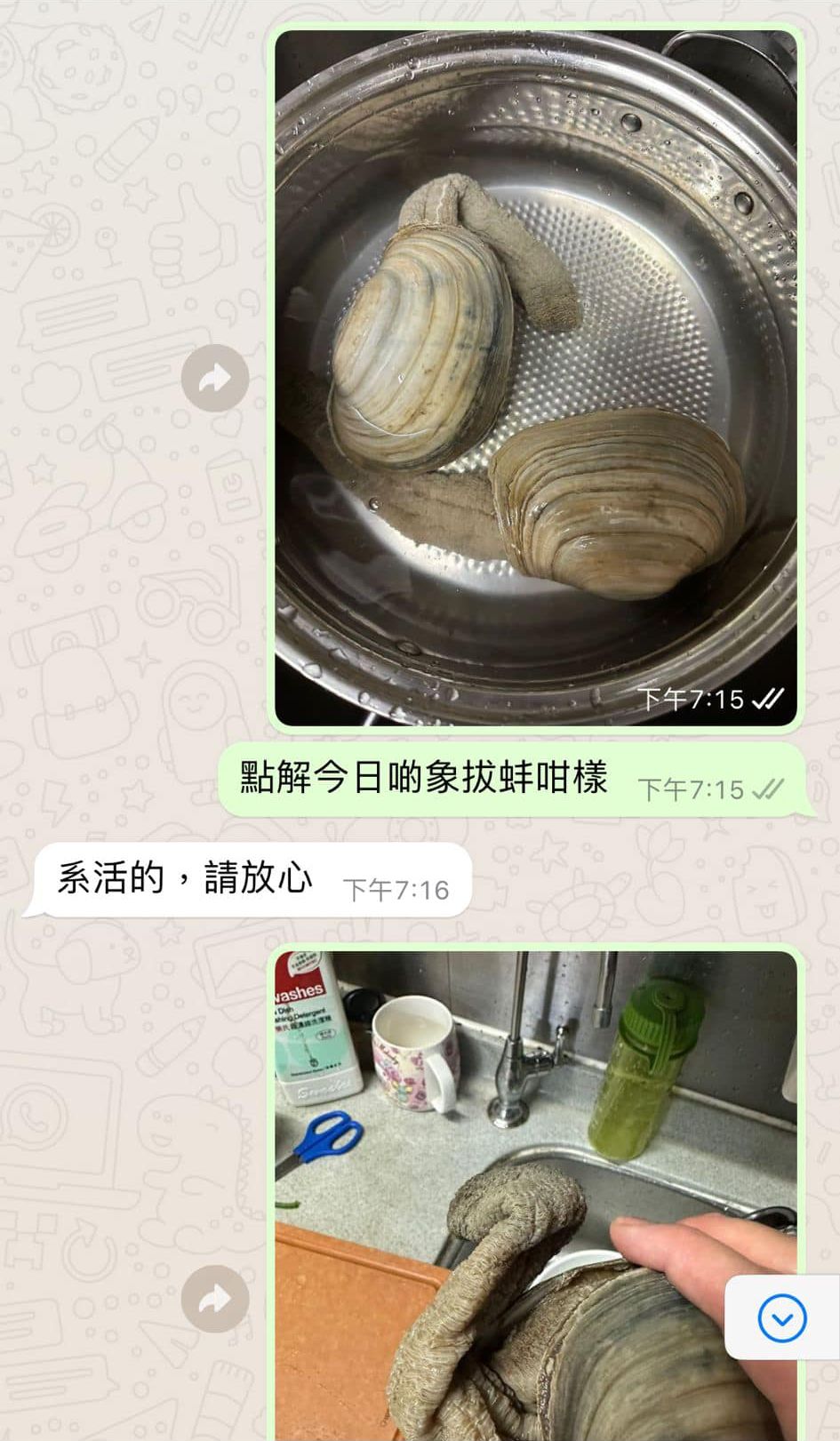 事主發照片予店方並詢問原因，店方指象拔蚌是活的