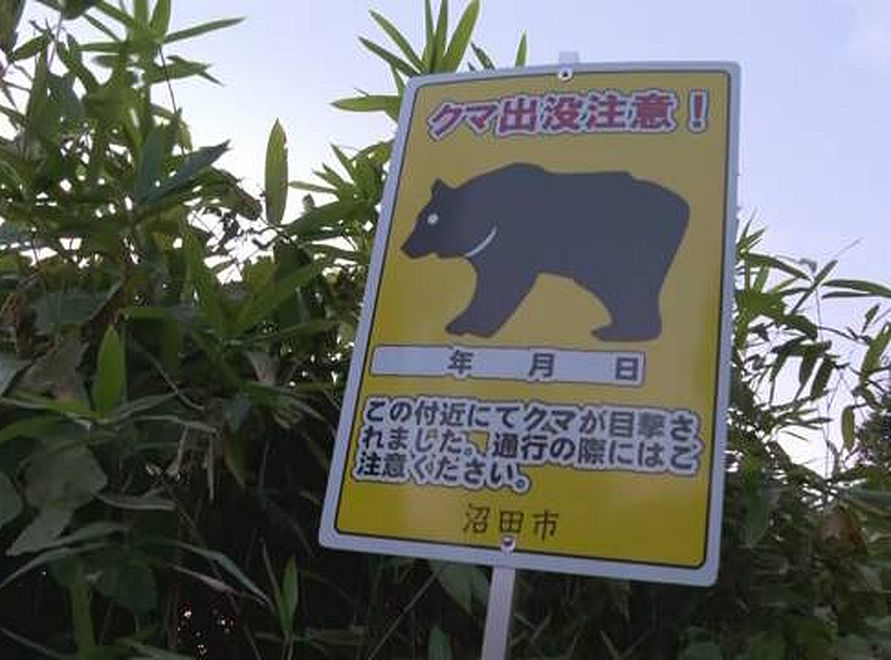 網圖