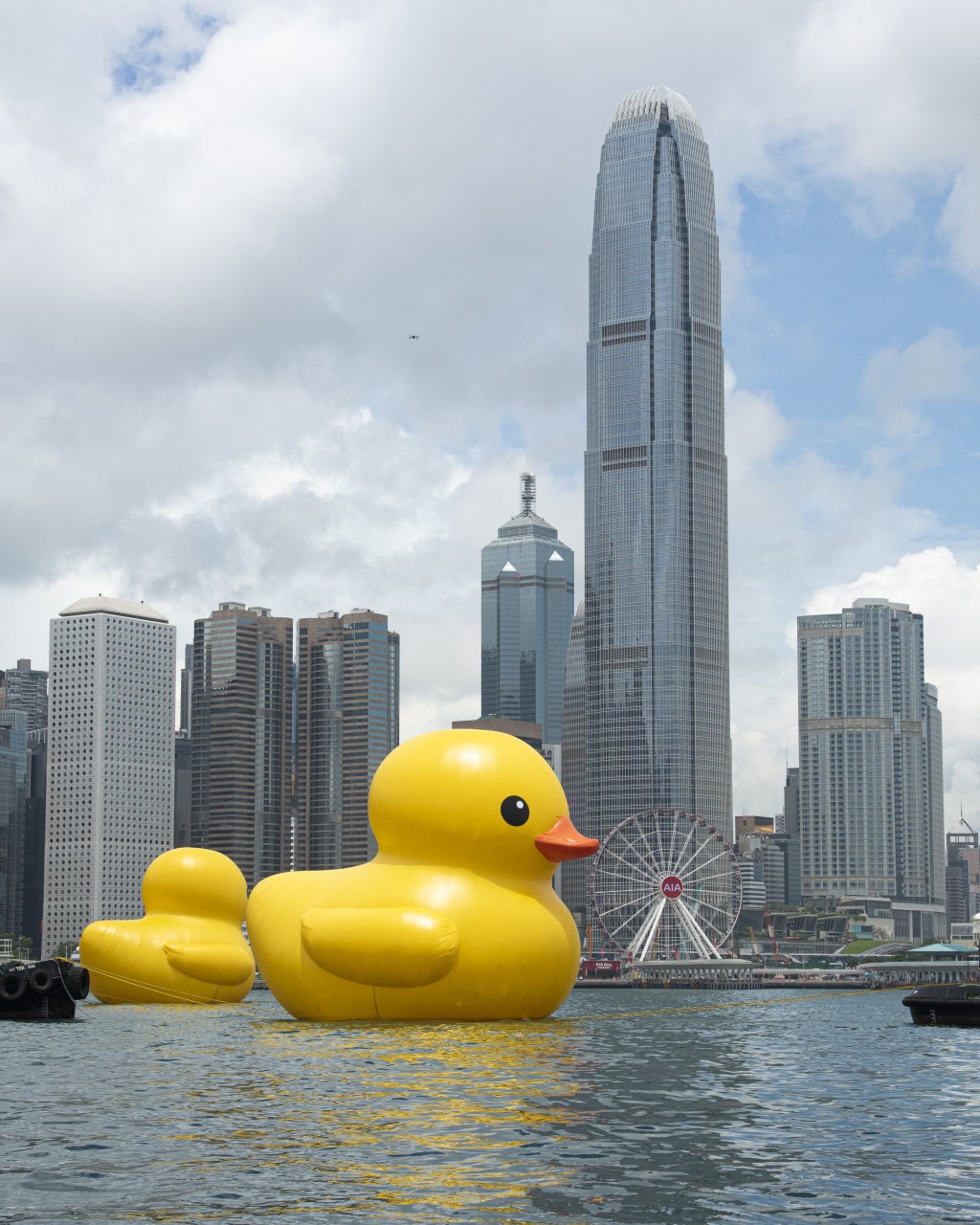 沿着维港海岸经铜锣湾海面游到尖沙咀，途经星光大道、文化中心及K11 MUSEA等地标。