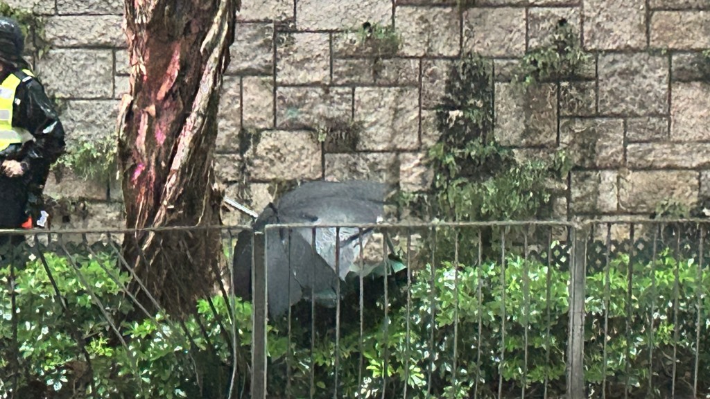 上身用雨傘遮蓋。