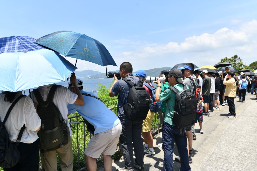 不少市民和旅客冒著酷熱天氣到場觀賞和拍攝山東艦。盧江球攝 不少市民和旅客冒著酷熱天氣到場觀賞和拍攝山東艦。盧江球攝