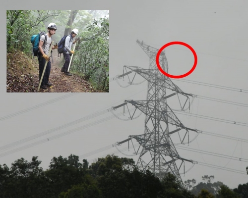 大欖郊野公園一個電塔近頂部壓毁,中電職員維修。 梁國峰攝