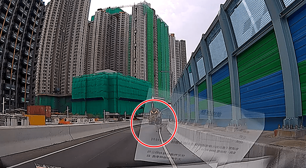 劉先生慢慢帶狗上車。網圖