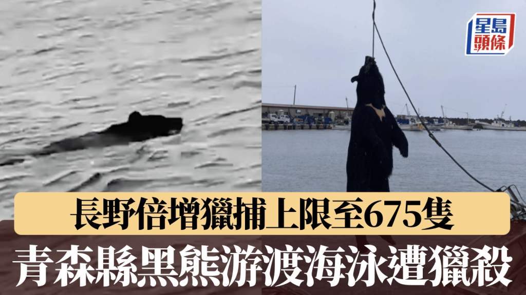 朝日新聞/X@mokomoko816036