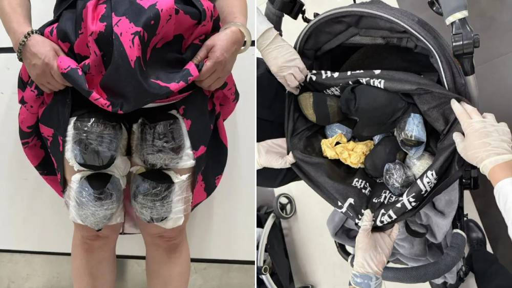8名大媽走私團，以裙底及嬰兒車掩護，攜帶瀕危活龜闖關。 海關發布