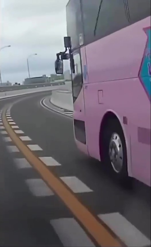 粉红色旅游巴正在高速公路行驶。网上截图