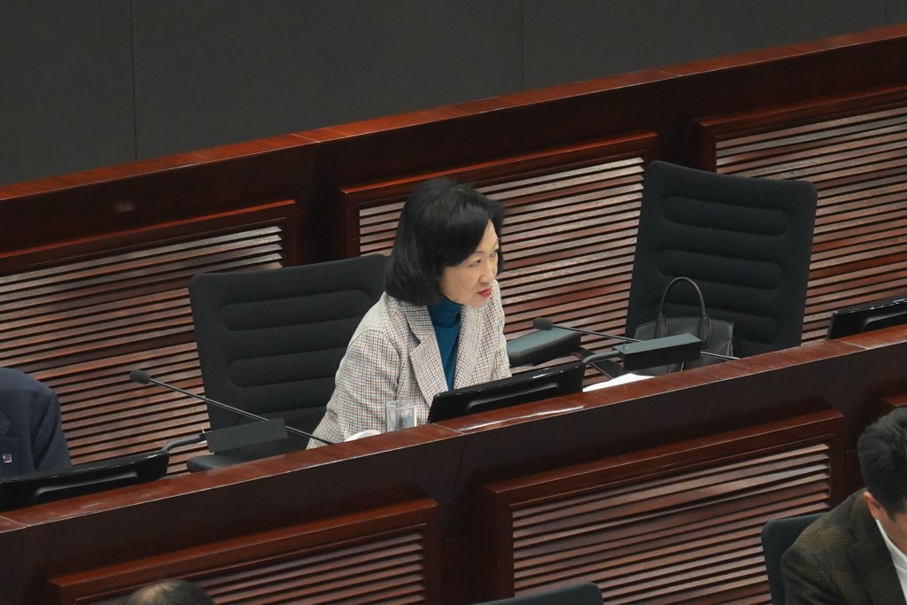 行会召集人、新民党主席叶刘淑仪问及网上平台是否属于该条文定义下的「组织」。叶伟豪摄