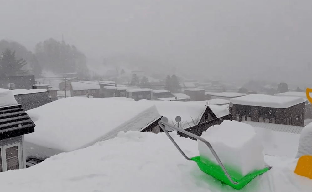 民眾拍下的雪頂積雪情況。