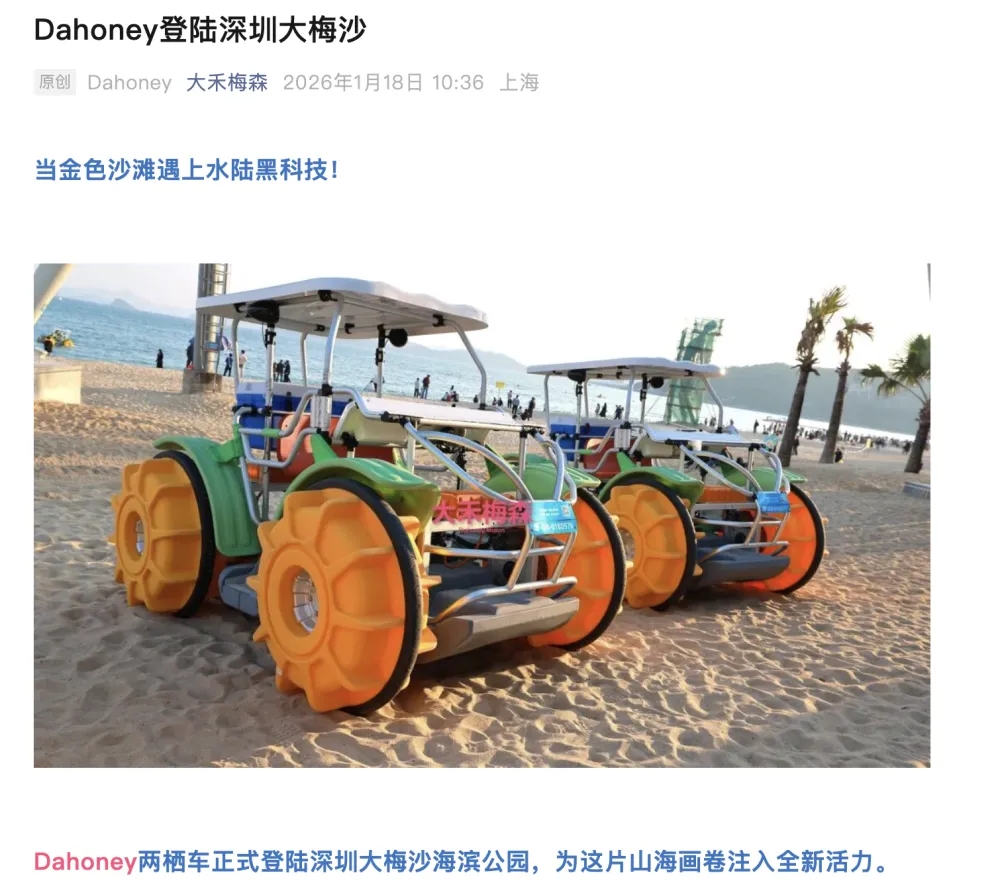 沙滩车的介绍。