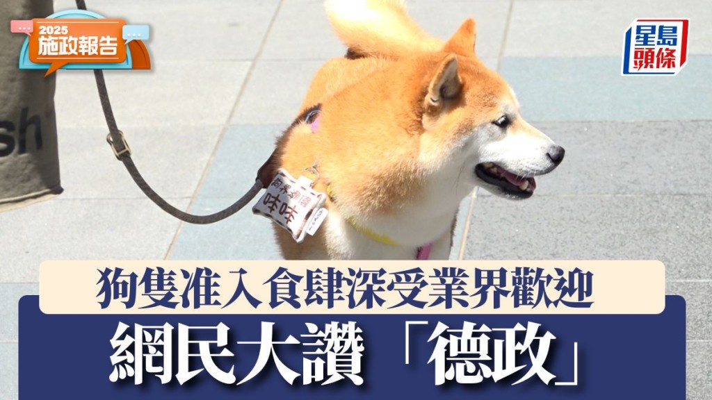 施政報告2025︱狗隻准入食肆深受業界歡迎 網民讚「德政」：終於不用街邊食外賣