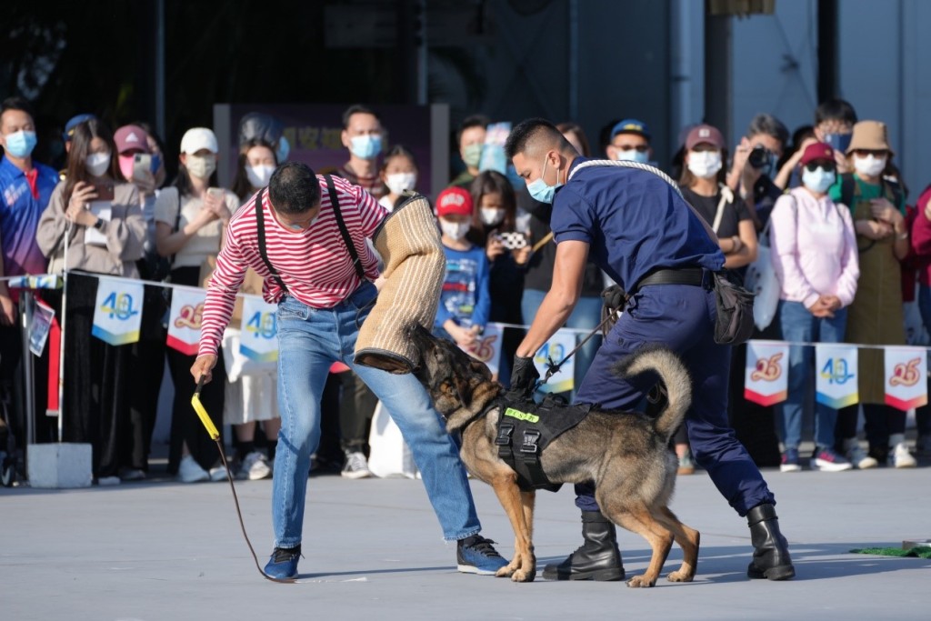 警衛犬隊示範。政府新聞處圖片