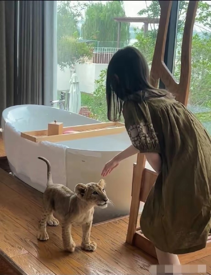 江蘇度假區推「幼獅叫醒服務」。