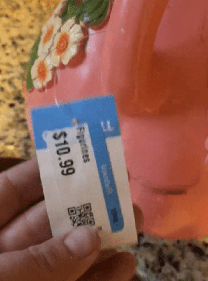 卡翠娜在當地一間Goodwill商店，以10.99美元（約86港元）買下一個被多人形容為「醜得嚇人」的復古粉紅豬錢罌。