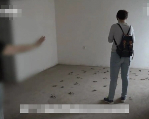 開門後只見滿地狗糞。 網圖