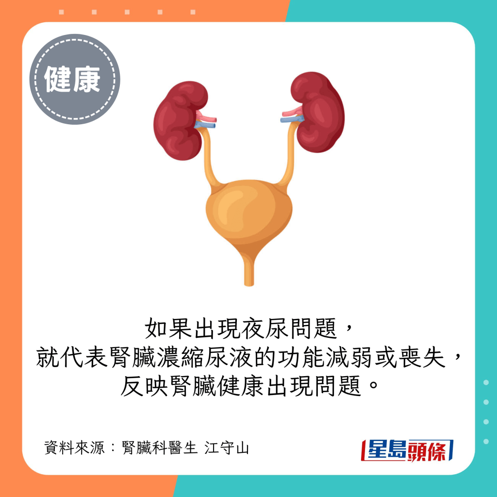 如果出現夜尿，就代表腎臟濃縮尿液的功能減弱或喪失，反映腎臟健康出現問題。