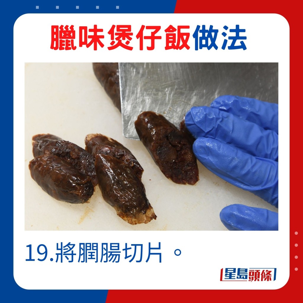 19.將膶腸切片。