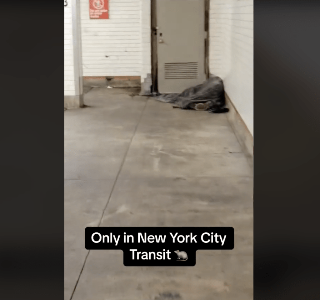这段由网民@six4bk78在 1 月 8 日于社交平台发布的影片，拍摄背景在纽约市一个地铁站内，一名无家可归者盖著灰色毯子睡在月台尽头的地板上，只露出鞋子。