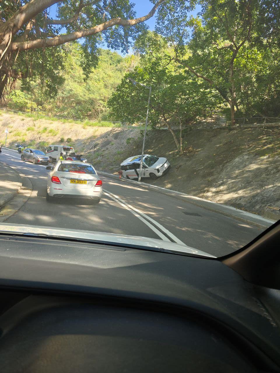 七人車失控剷上山坡，擱於燈柱旁。網上圖片