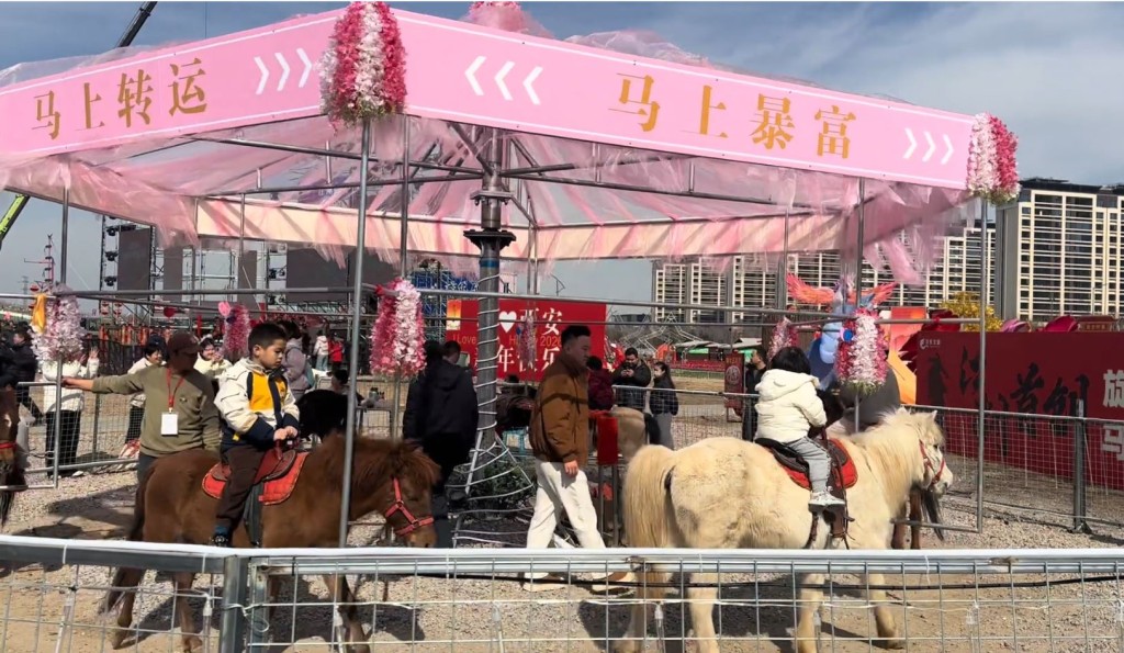 西安有遊樂場推出「旋轉活馬」項目引起虐畜爭論。抖音@大虎妞吖